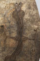 Shield, early 20th century
Lumi culture; Torricelli Mountains, Sandaun Province, Papua New Gui…