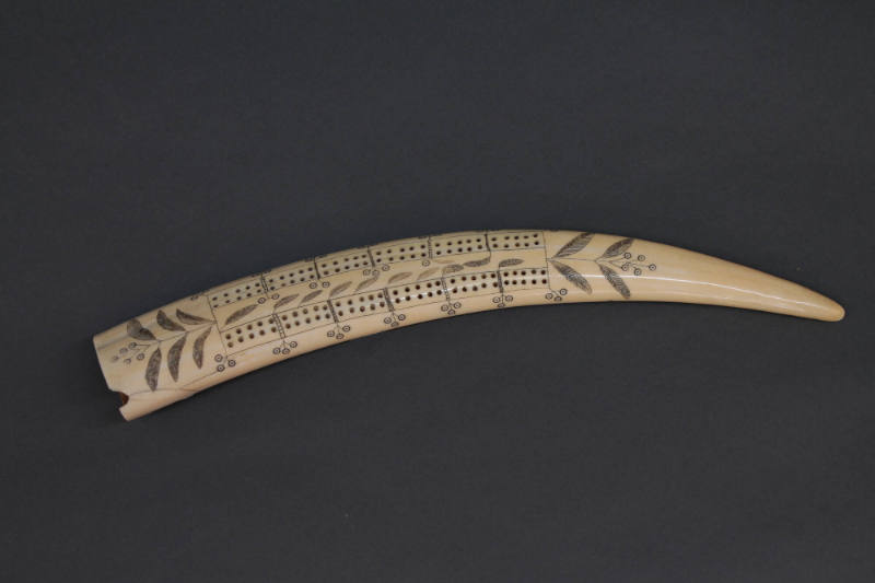 Scrimshaw Cribbage Board, date unknown
Inuit; St. Lawrence Island, Alaska, United States
Walr…