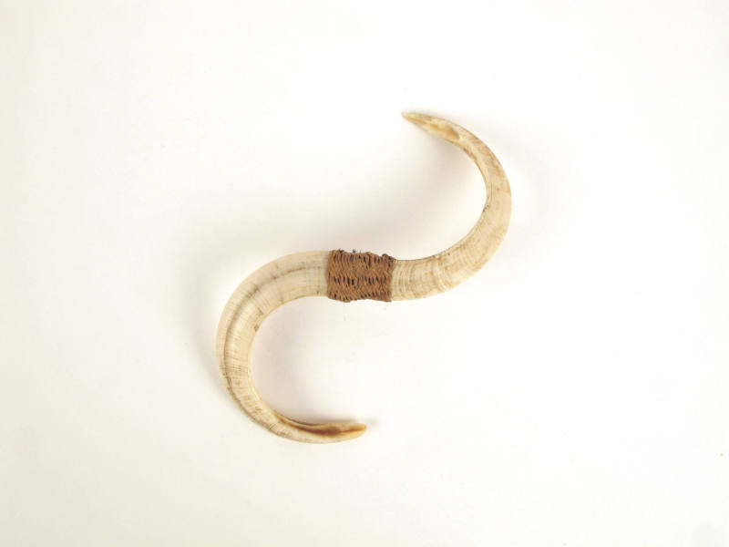 Nose Ring, late 19th Century
Possibly from Papua New Guinea or Papua Province, Indonesia
Boar…