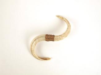 Nose Ring, late 19th Century
Possibly from Papua New Guinea or Papua Province, Indonesia
Boar…