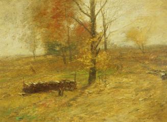Autumnal Tints, 1909
J. Francis Murphy (American, 1853-1921)
Oil on canvas; 16 x 22 in.
F766…