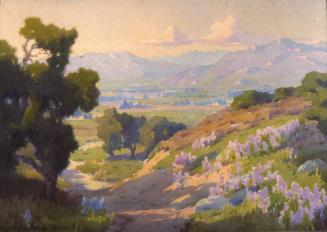 From Sunland Looking Across Valley to Big Tujunga, c. 1925
Marion Kavanaugh Wachtel (American,…
