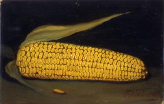 Untitled (Ear of Corn), late 19th to early 20th Century
Frank Coburn (American, 1862-1938)
Oi…