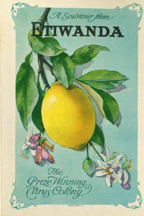 A Souvenir from Etiwanda The Prize Winning Citrus Colony, c.1910
Etiwanda Board of Trade
Pape…