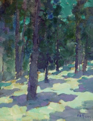 Moonlight in the Pines, c. 1920
Charles A. Fries (1854-1940)
Oil on canvas; 7 x 9 in.
30370
…