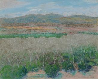 Tustin Walnut Grove, c. 1923
William Alexander Griffith (American, 1866-1940)
Pastel on linen…