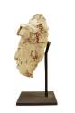 Head of a Noble, 600-900 CE
Maya culture; possibly Uxmal, Yucatán, Mexico
Stucco and pigment;…