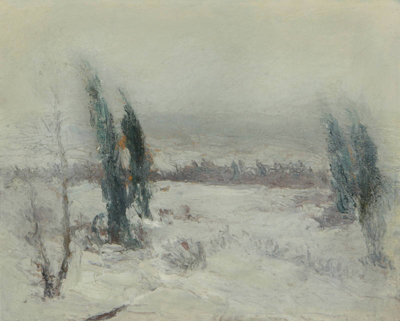 Winter Storm in the Blue Hills, 19th Century
Ernest Federick Meyer (German American, 1863 - 19…