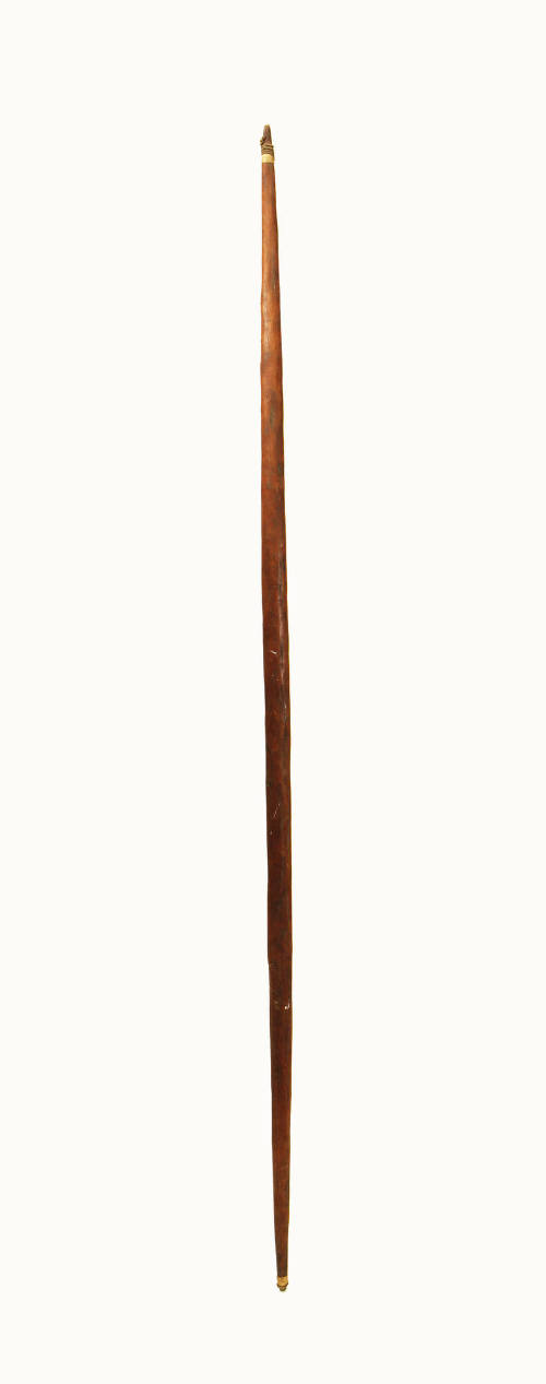 Bow, mid 19th to early 20th Century
Possibly Papua New Guinea, Melanesia
Wood and fiber; 67 1…