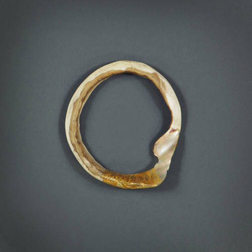 Shell Armlet, mid 19th to early 20th Century
Papua New Guinea, Melanesia
Trochus shell; 4 7/8…