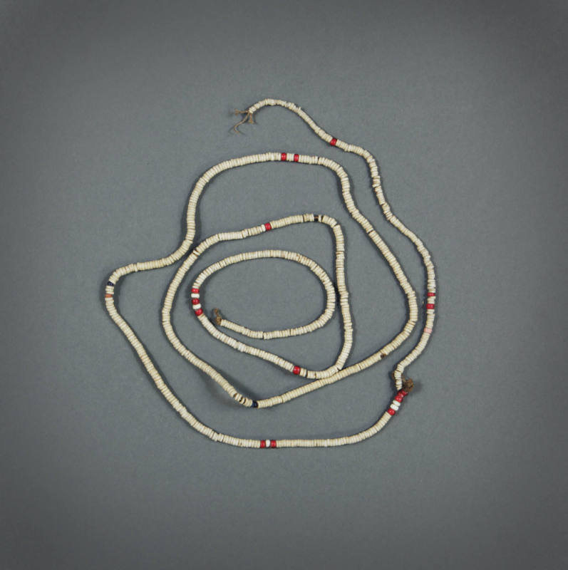 Necklace, mid 19th to early 20th Century
Solomon Islands, Melanesia
Shell, trade beads and fi…