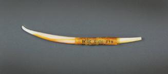 Nose Ornament, mid 19th to early 20th Century
Milne Bay Province, Papua New Guinea, Melanesia
…