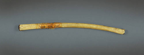 Nose Ornament, mid 19th to early 20th Century
Papua New Guinea, Melanesia
Bone; 1/2 × 7 1/2 ×…