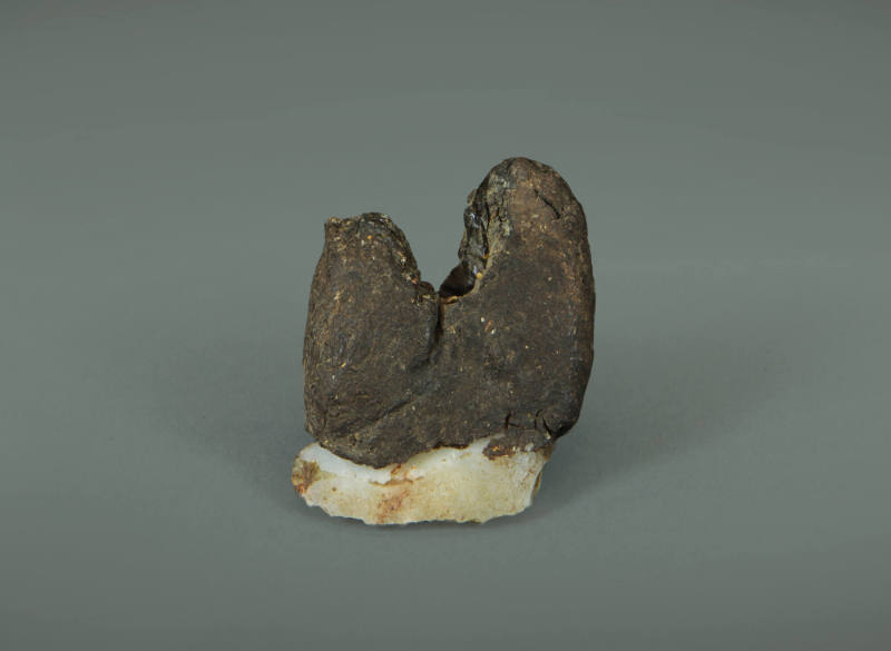 Cutting Tool, mid 19th to early 20th Century
Possibly Australia
Resin and stone; 2 1/8 × 1 7/…