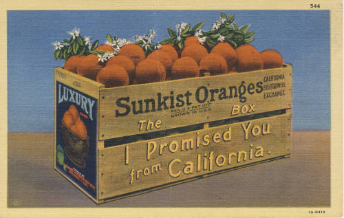 Postcard, c. 1930
Western Publishing & Novelty Co.; Los Angeles, California
Paper and ink; 5 …