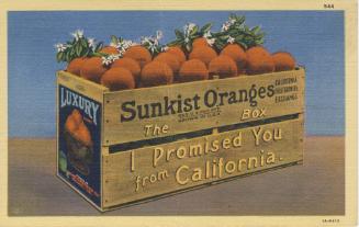 Postcard, c. 1930
Western Publishing & Novelty Co.; Los Angeles, California
Paper and ink; 5 …