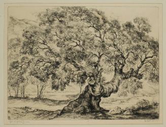 Oak of Golden Dreams, 1900-1964
Orpha Klinker (American, 1891-1964)
Ink etching on paper; 12 …