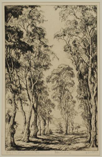 Harp of the Winds, Griffith Park , 1900-1964
Orpha Klinker (American, 1891-1964)
Ink etching …