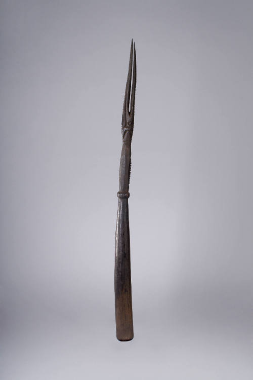 Food Pounder, late 19th to early 20th Century
Torricelli Mountain area, Sandaun (West Sepik) P…