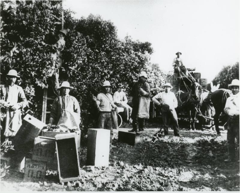 Klokke Ranch