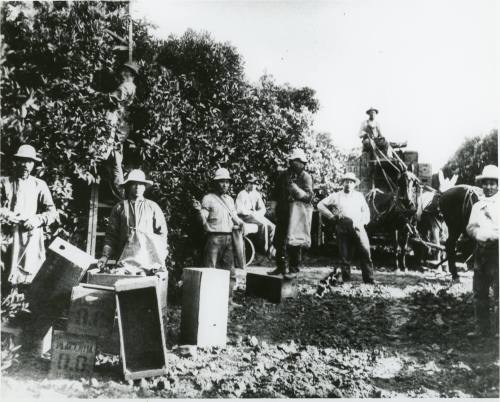 Klokke Ranch