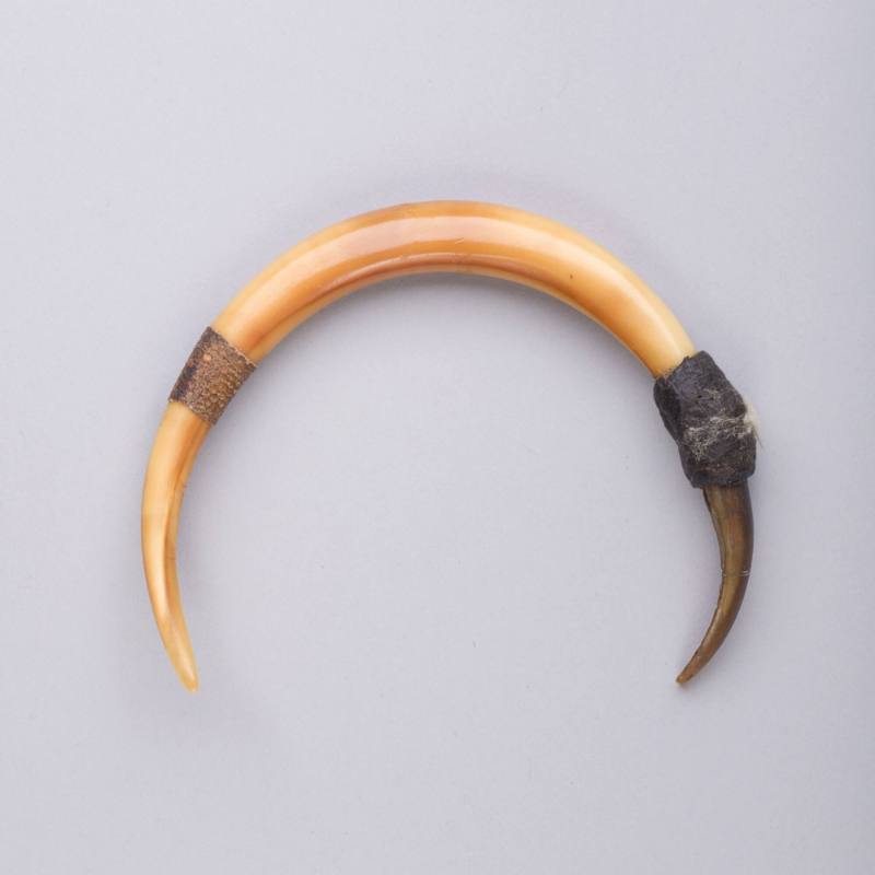 Nose Ornament (Arik Gesen), early to mid 20th Century
Bimin-Kuskusmin culture; Sandaun Provinc…