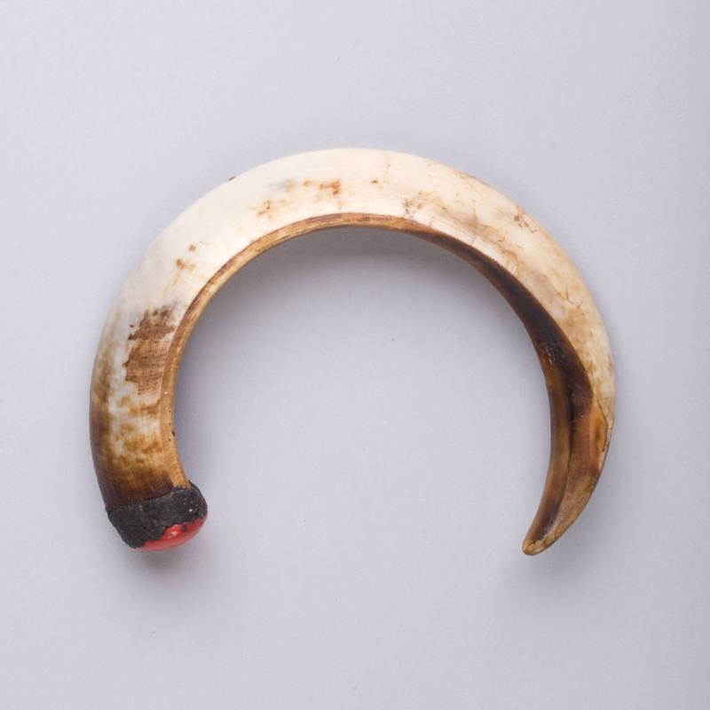 Nose Ornament (Siip Gesen), early to mid 20th Century
Bimin-Kuskusmin culture; Sandaun Provinc…