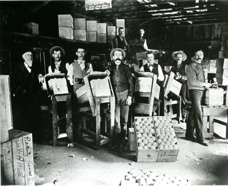 Packing House of Dr. W. B. Wall