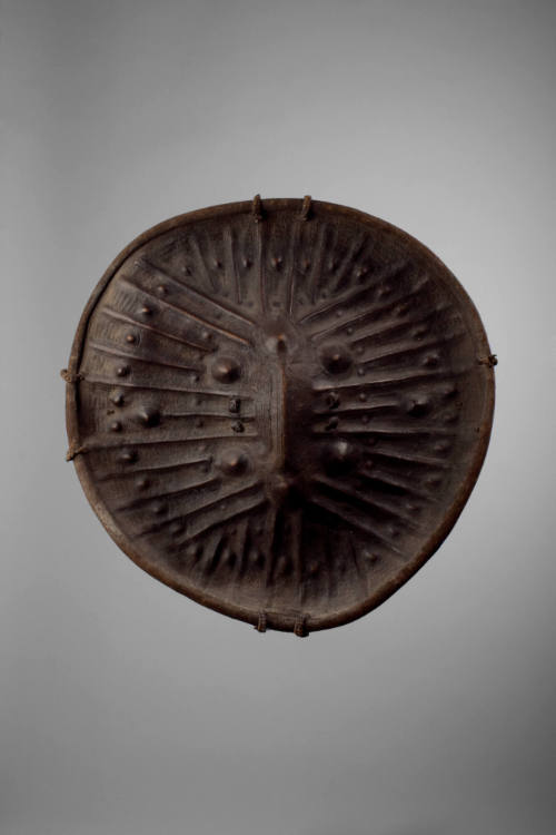 Shield, late 19th to early 20th Century
Amarro or Oromo culture; southwestern Ethiopia
Animal…