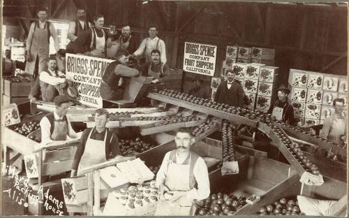 Willard & Adams Packing House, 1880-1900
Unknown Photographer; Orange County, California
Phot…