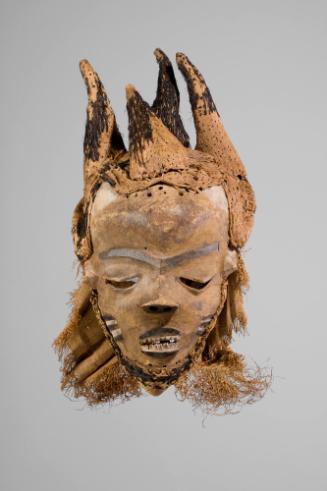 Mask, 20th Century
Pende people; Democratic Republic of the Congo
Wood, raffia, textile and f…