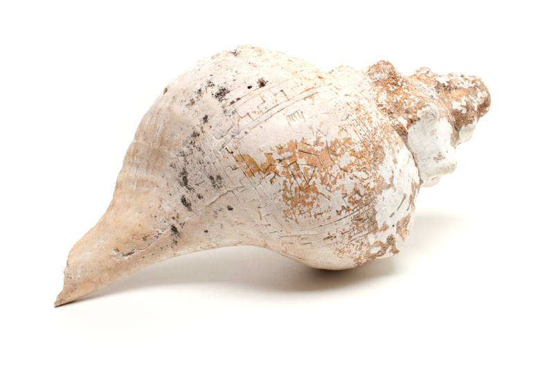 Shell Trumpet, 900-1200 
Purépecha culture; Puruándiro, Michoacan, Mexico
Conch shell and lim…