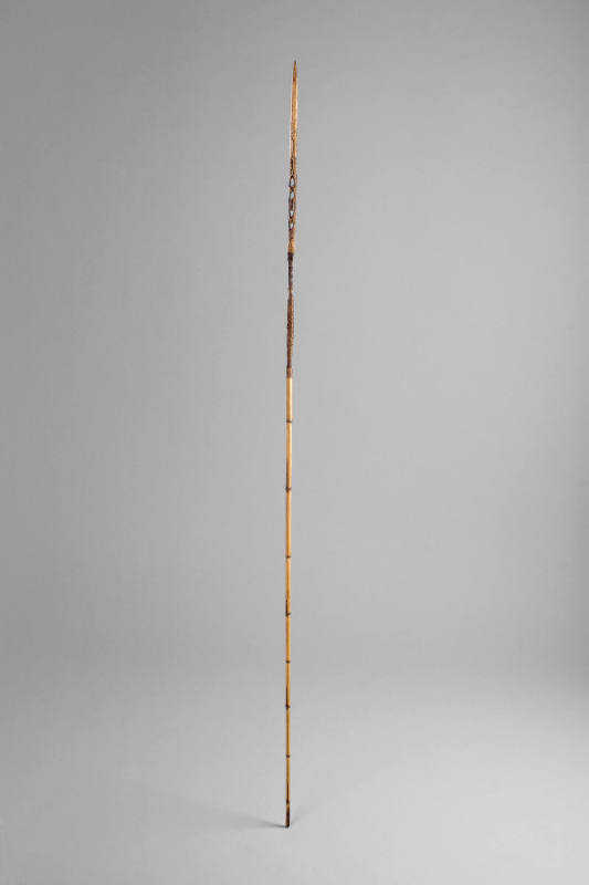 Fighting Arrow, early to mid 20th Century
Torricelli Mountain area, Sandaun (West Sepik) Provi…