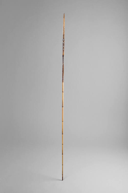 Fighting Arrow, early to mid 20th Century
Torricelli Mountain area, Sandaun (West Sepik) Provi…