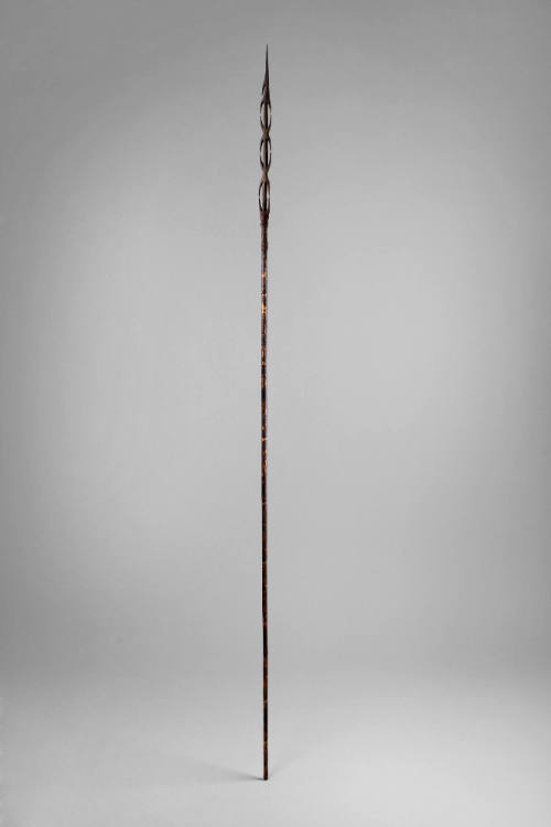 Fighting Arrow, early to mid 20th Century
Torricelli Mountain area, Sandaun Province, Papua Ne…