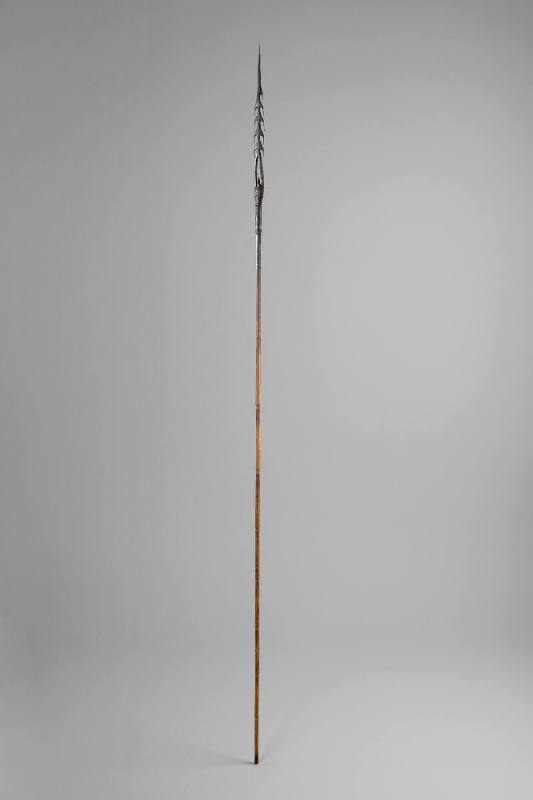 Fighting Arrow, early to mid 20th Century
Torricelli Mountain area, Sandaun Province, Papua Ne…