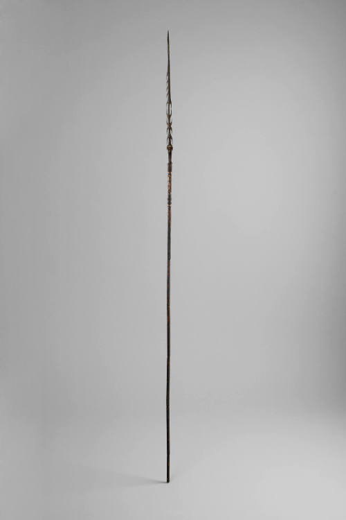 Fighting Arrow, early to mid 20th Century
Torricelli Mountain area, Sandaun Province, Papua Ne…