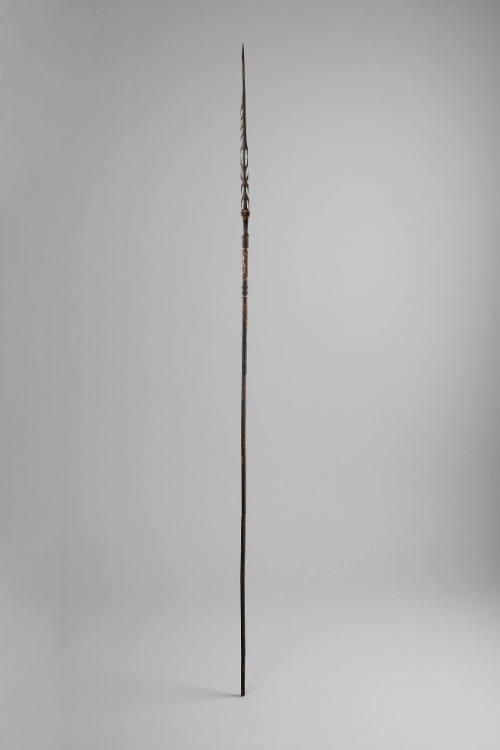 Fighting Arrow, early to mid 20th Century
Torricelli Mountain area, Sandaun Province, Papua Ne…