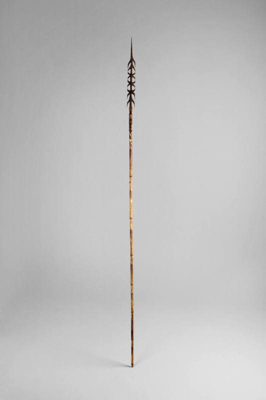 Fighting Arrow, early to mid 20th Century
Torricelli Mountain area, Sandaun Province, Papua Ne…