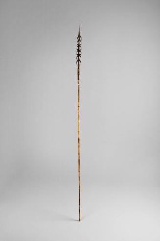 Fighting Arrow, early to mid 20th Century
Torricelli Mountain area, Sandaun Province, Papua Ne…