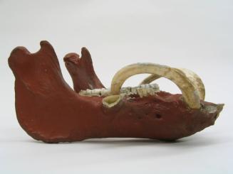 Pig Fetish, 20th Century
New Ireland, New Ireland Province, Papua New Guinea, Melanesia
Bone,…