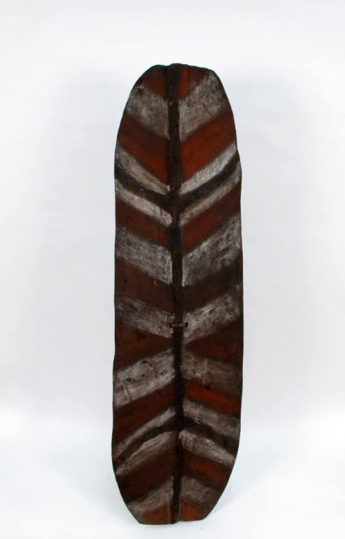 War Shield, early to mid 20th Century
Southern Highlands Province, Papua New Guinea, Melanesia…