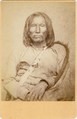 Chief Satank, or Sitting Bear, c. 1858
William S. Soule (American, 1836-1908)
Paper; 6 1/2 x …