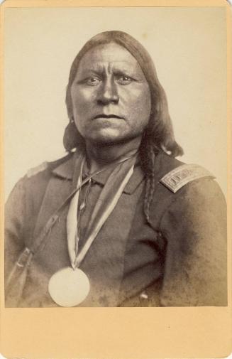 Chief Sa-tan-ta, or White Bear, c. 1858
William S. Soule (American, 1836-1908)
Paper; 6 1/2 x…
