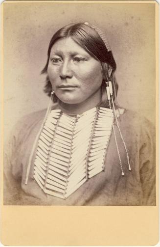 Tsen-Tainte, or Chief White Horse, c. 1858
William S. Soule (American, 1836-1908)
Paper; 6 1/…