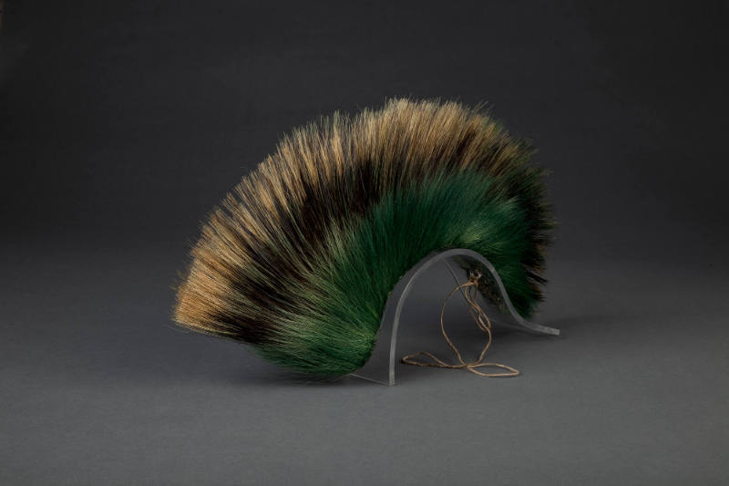 Porcupine Guard Hair for Roaches- Porky Hair- Porcupine Hair