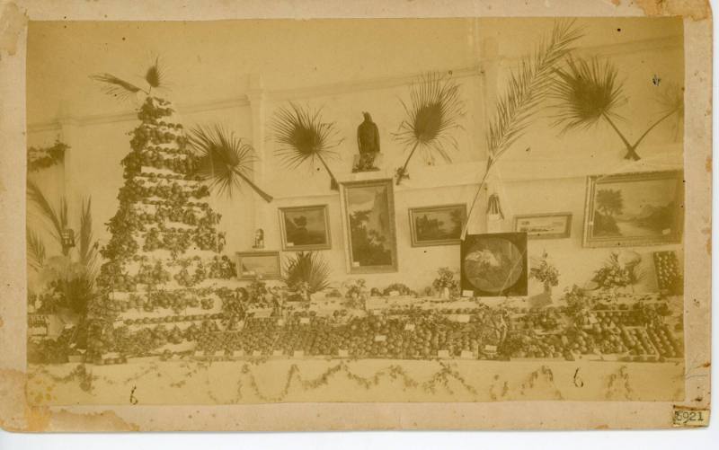 Santa Ana Valley Mid Winter Fruit & Flower Festival, 1886
Clausen & Berkeman; Santa Ana, Orang…