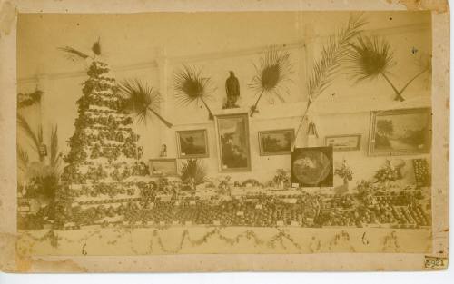 Santa Ana Valley Mid Winter Fruit & Flower Festival, 1886
Clausen & Berkeman; Santa Ana, Orang…