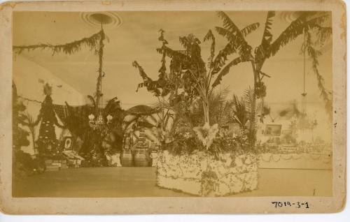 Santa Ana Valley Mid Winter Fruit & Flower Festival, 1886
Clausen & Berkeman; Santa Ana, Orang…