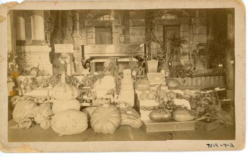 Santa Ana Valley Mid Winter Fruit & Flower Festival, 1886
Clausen & Berkeman; Santa Ana, Orang…